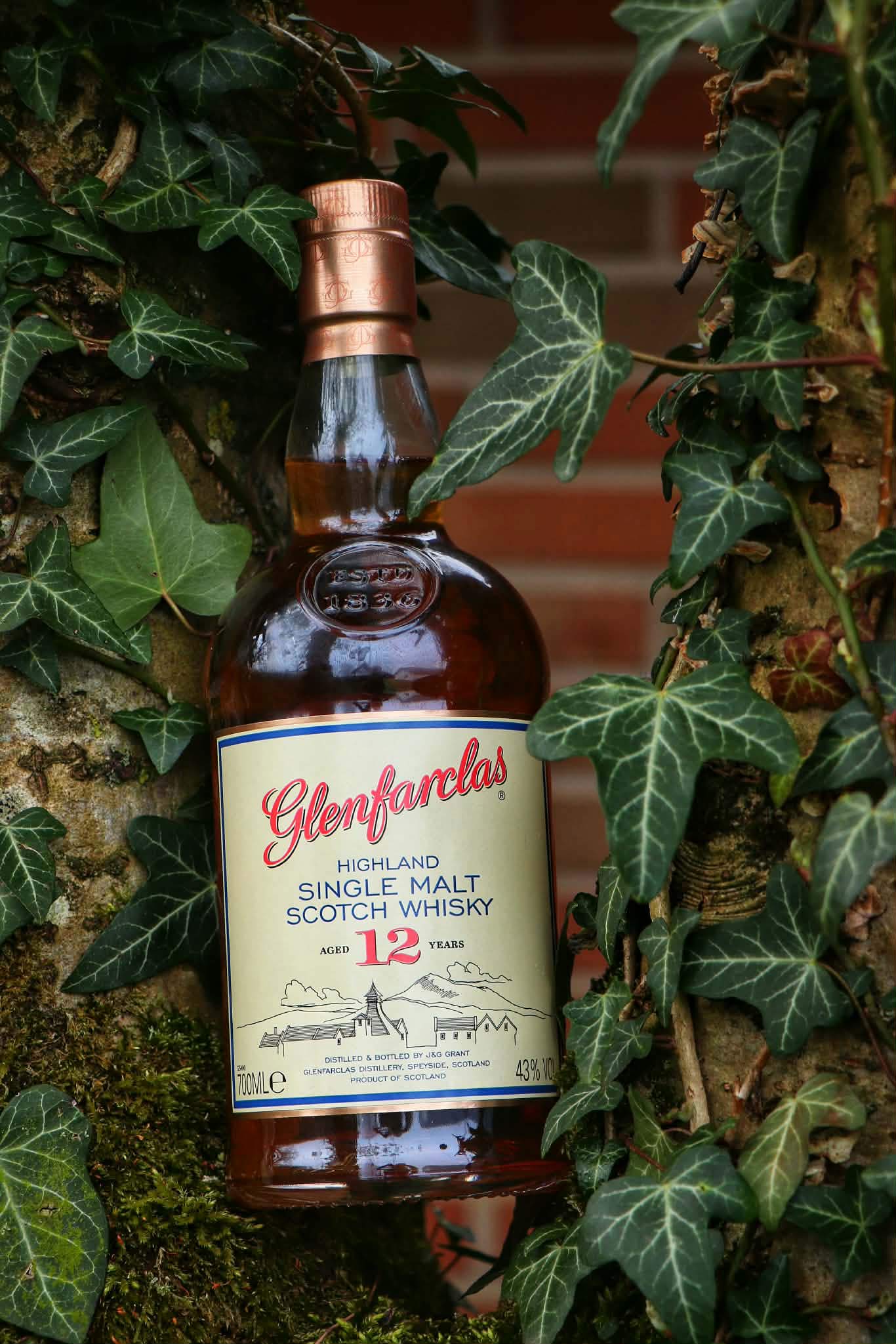 Glenfarclas-12_2