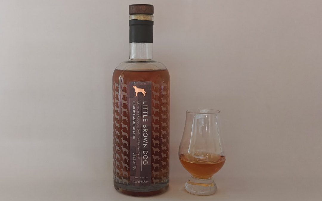 Little Brown Dog – High Rye Scottish Spirit – 7 år